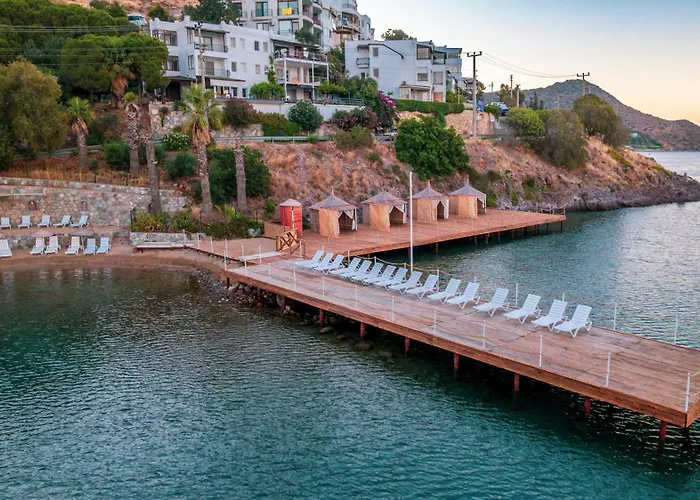 Ladonia Mio Mare Akyarlar