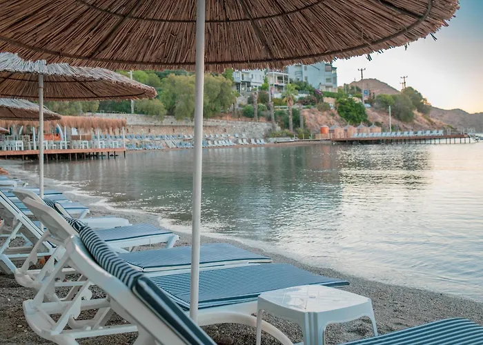 Ladonia Mio Mare Akyarlar