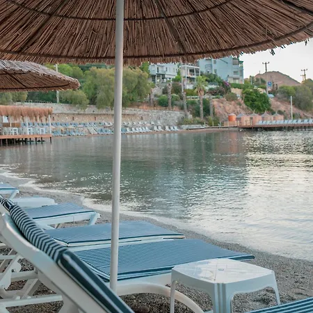 Ladonia Mio Mare أكيارلار