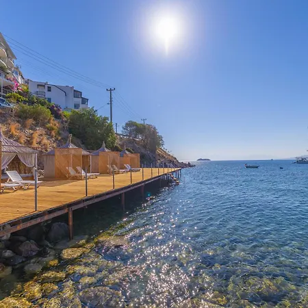فندق Ladonia Mio Mare
