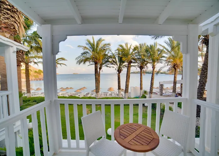 Ladonia Mio Mare Akiarlar